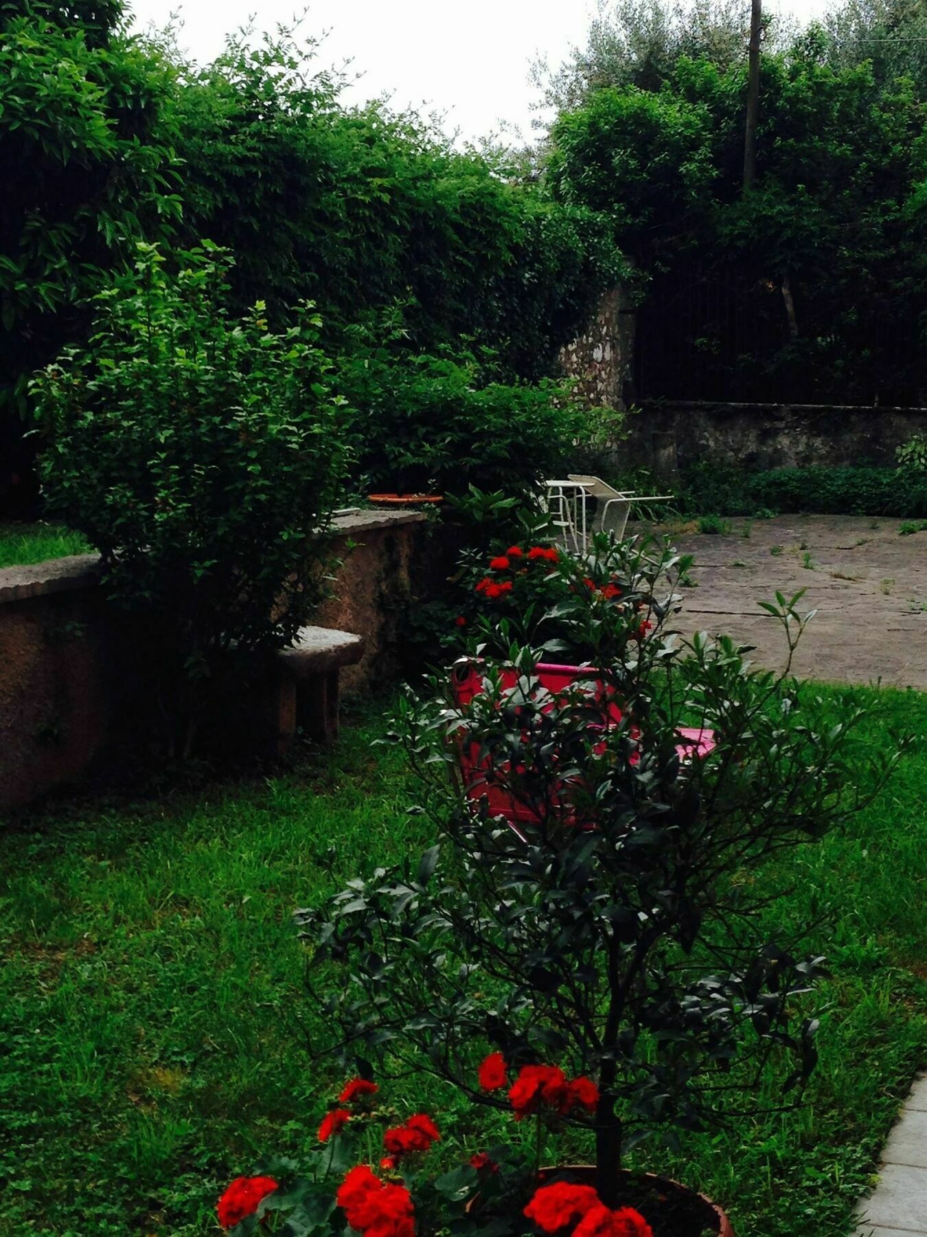 Omas Haus Βίλα Toscolano Maderno Εξωτερικό φωτογραφία